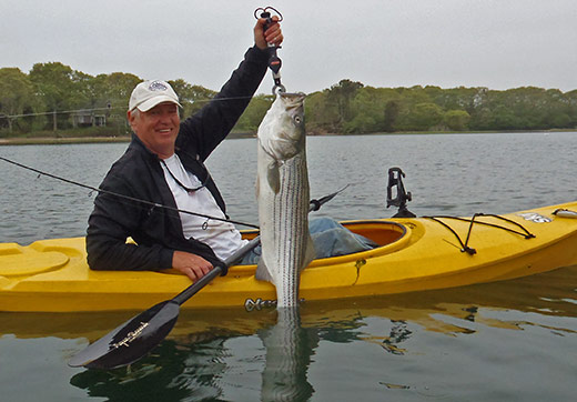 Redbrook Harbor catch on 5 inch Bay Pogie